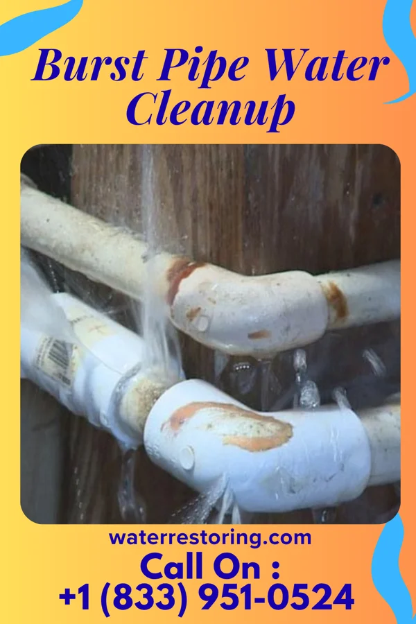 Burst Pipe Water Cleanup in Calumet Park, IL