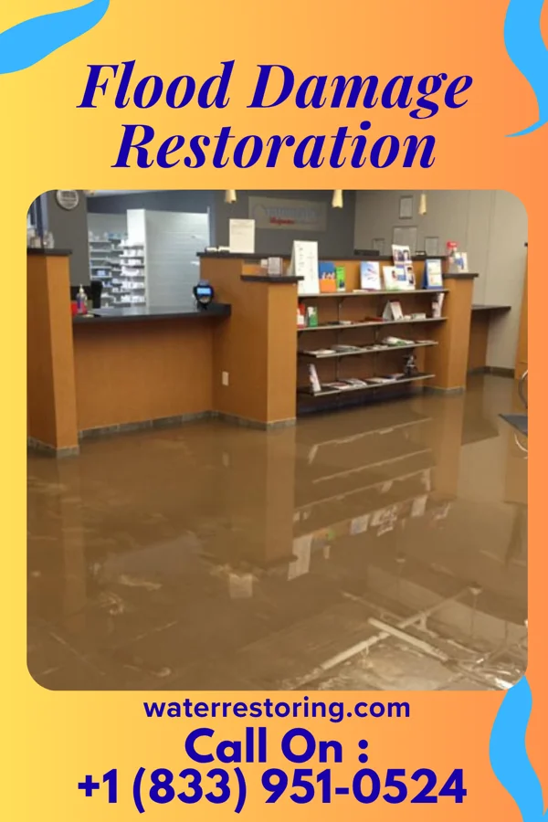 Flood Damage Restoration in Calumet Park, IL