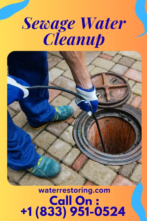 Sewage Water Cleanup in Calumet Park, IL